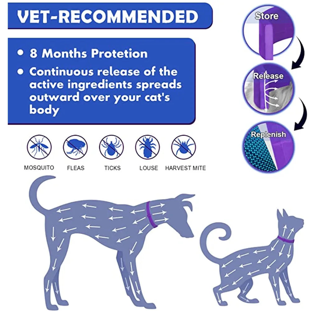 Collare Calmante ai Feromoni Naturali – Cani e Gatti