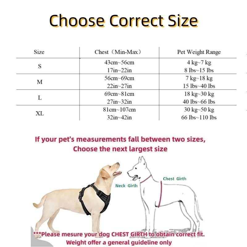 Pettorina Antistrappo Riflettente con Maniglia