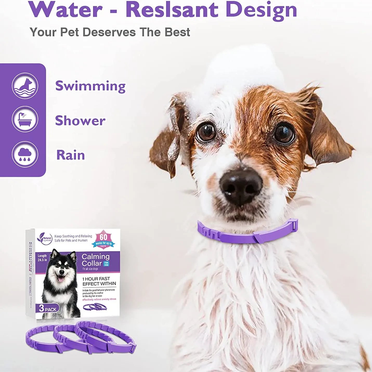 Collare Calmante ai Feromoni Naturali – Cani e Gatti